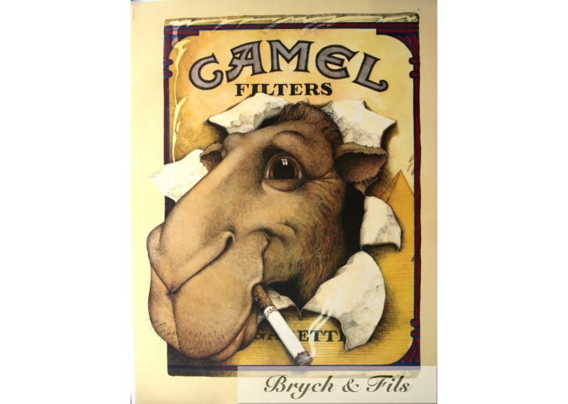 Camel filters