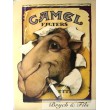 Camel filters