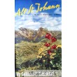 Affiche originale "Alt St Johann"