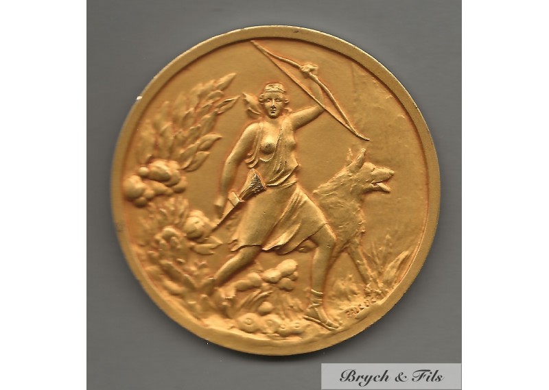 MONACO MEDAILLE SOCIETE CANINE PAR FALCUCCI EN BRONZE