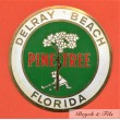 Badge Automobile "PINE TREE" Delray Beach Florida