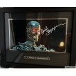 "TERMINATOR (T2)" Photo Dédicacée