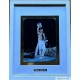 "FREDDIE MERCURY" photo couleur dédicacée