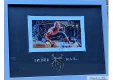 "SPIDER MAN" color autographed  photo Tobey Maguire
