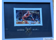 "SPIDER MAN" color autographed photo