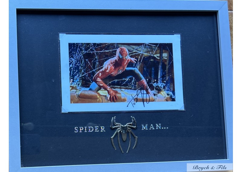 "SPIDER MAN" color autographed photo