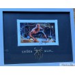 "SPIDER MAN" color autographed photo