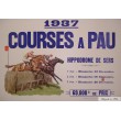 Course à Pau