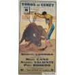 Toros en CERET